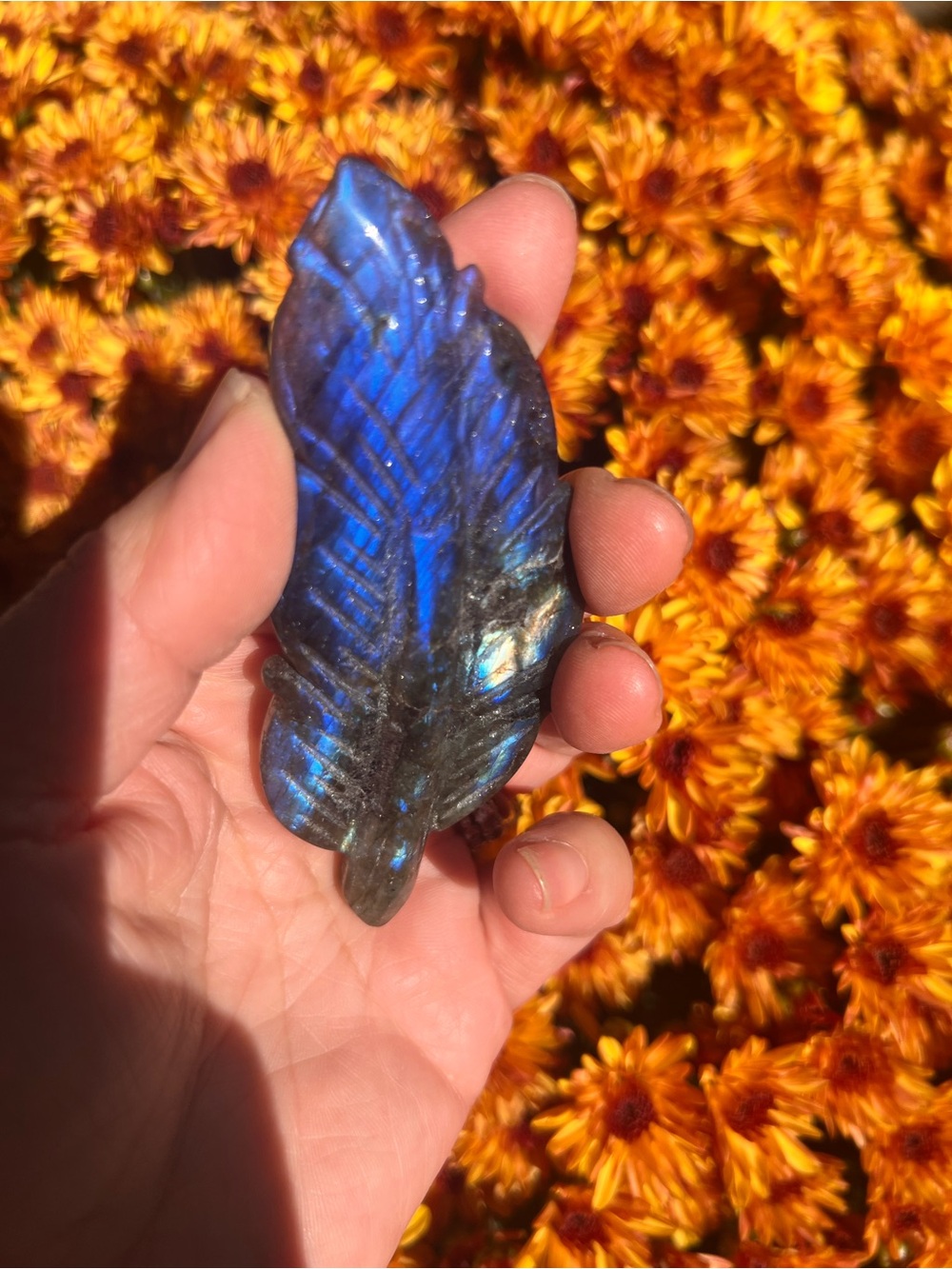 Labradorite (3) feather with stand ~ Crystal